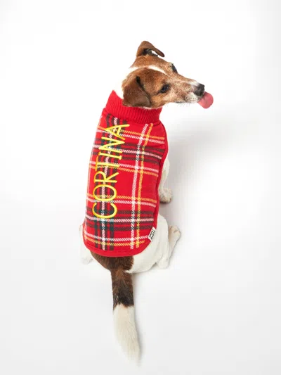 Mc2 Saint Barth Dog Sweater With Tartan Print In Red