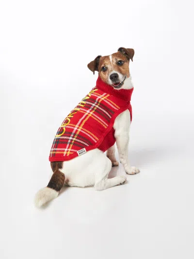 Mc2 Saint Barth Dog Sweater With Tartan Print In Red