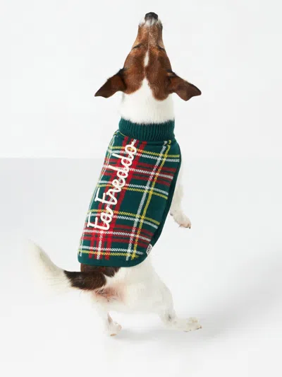 Mc2 Saint Barth Dog Sweater With Tartan Print In Green