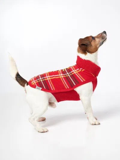 Mc2 Saint Barth Dog Sweater With Tartan Print In Red