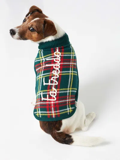 Mc2 Saint Barth Dog Sweater With Tartan Print In Green
