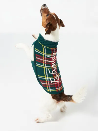 Mc2 Saint Barth Dog Sweater With Tartan Print In Green