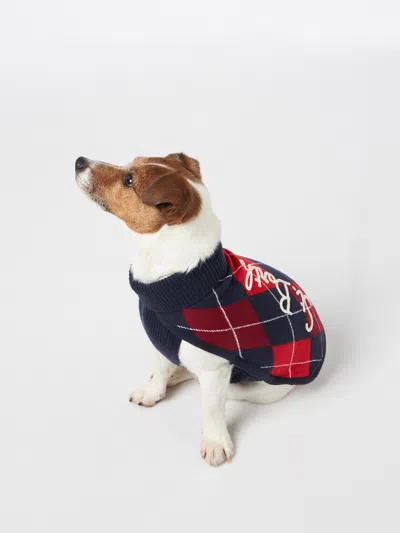 Mc2 Saint Barth Dog Sweater With Argyle Print In Blue
