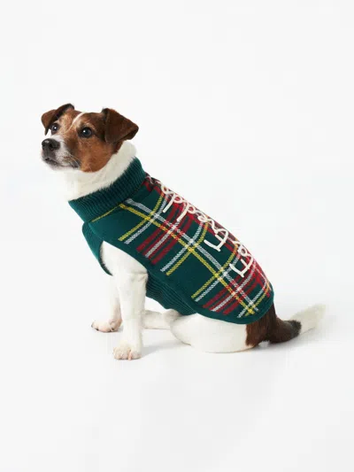 Mc2 Saint Barth Dog Sweater With Tartan Print In Green