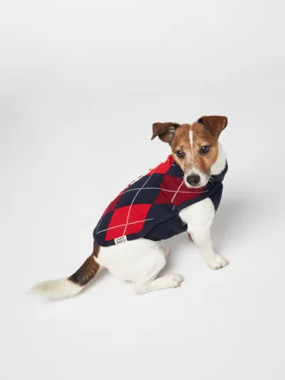 Mc2 Saint Barth Dog Sweater With Argyle Print In Blue