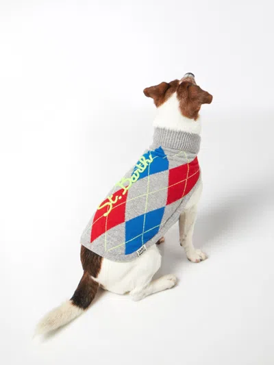 Mc2 Saint Barth Dog Sweater With Argyle Print In Grey