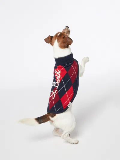 Mc2 Saint Barth Dog Sweater With Argyle Print In Blue