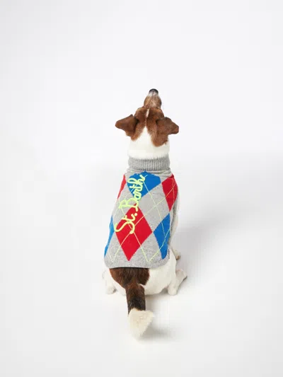 Mc2 Saint Barth Dog Sweater With Argyle Print In Grey