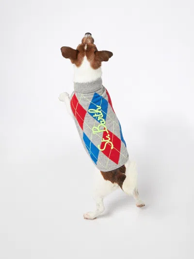 Mc2 Saint Barth Dog Sweater With Argyle Print In Grey