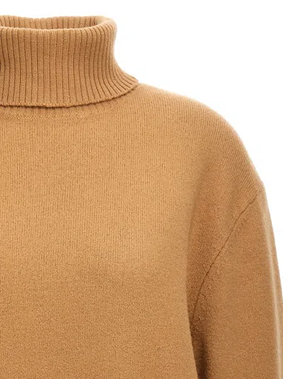 Apc Walter Sweaters And Cardigans In Beige