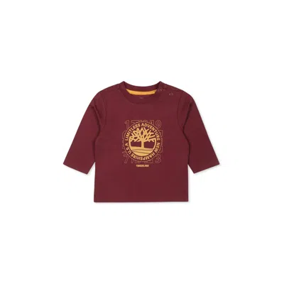 Timberland Burgundy T-shirt For Baby Boy With Tree Print In Bordeaux