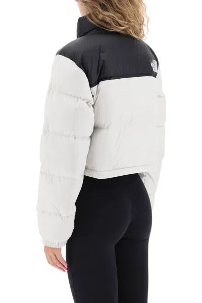 Shop The North Face Nuptse Cropped Down Jacket In White Dune/tnf Black (white)