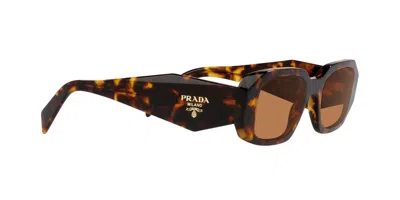 Prada Womens Yellow Pr 17ws Rectangle-frame Acetate Sunglasses In Marrone/marrone