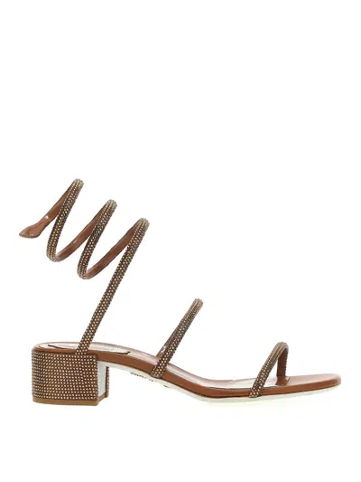 René Caovilla Sandals In Brown