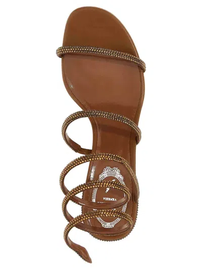 Shop René Caovilla Cleo Sandals In Brown