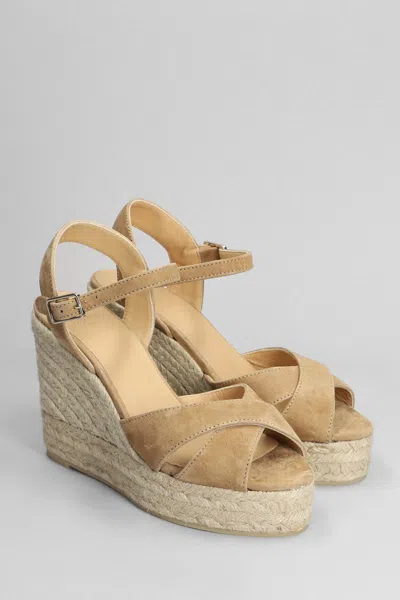 Shop Castaã±er Castañer Blaudell-8ed-007 Wedges In Leather Color