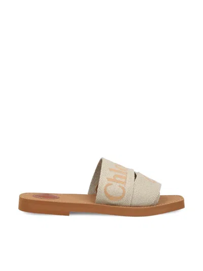 Shop Chloé Sandals In Vintage Khaki