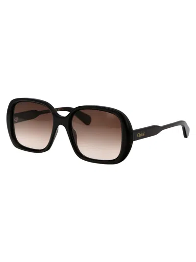 Shop Chloé Sunglasses In Brown