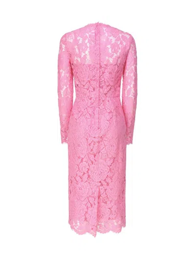 Shop Dolce & Gabbana Dresses In Pink