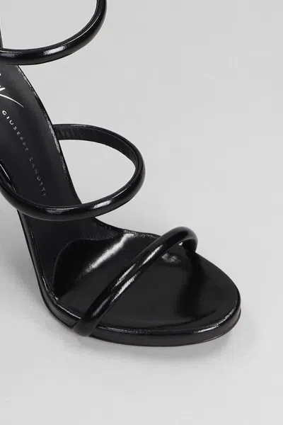 Shop Giuseppe Zanotti Harmony Sandals In Black