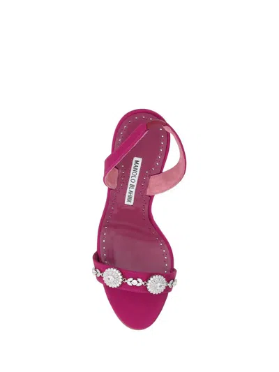 Shop Manolo Blahnik Sandals In Pink