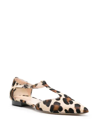 P.a.r.o.s.h . Pointed Leopard Shoes In Fantasia Marrone