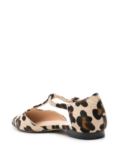 P.a.r.o.s.h . Pointed Leopard Shoes In Fantasia Marrone