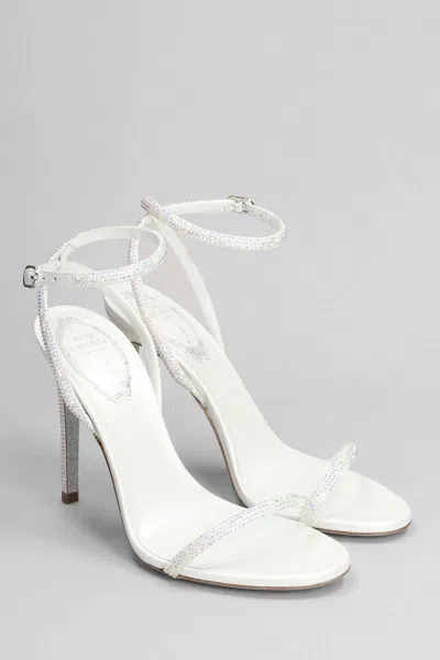 Shop René Caovilla Ellabrita Sandals In White