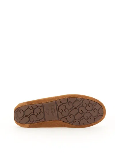 Shop Ugg Moccasin "dakota" In Brown