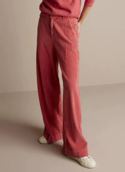 Summum Flared Corduroy Pant In Coral In Pink
