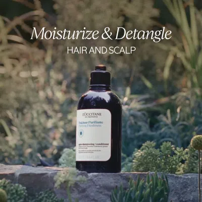 L'occitane - Purifying Freshness Conditioner 2.5 Fl oz