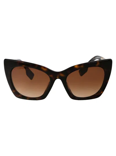 Shop Burberry Sunglasses In 300213 Dark Havana