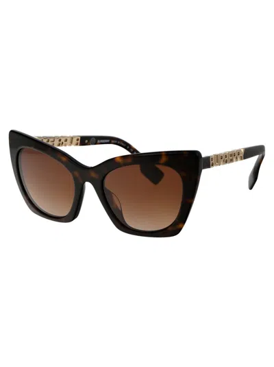 Shop Burberry Sunglasses In 300213 Dark Havana