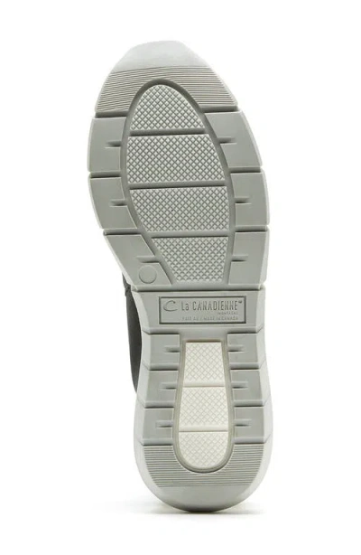 La Canadienne Baron Waterproof Sneaker In Grey