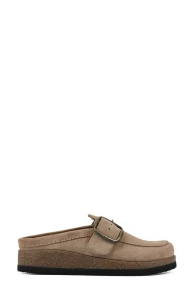 Cliffs By White Mountain Bueno Mule In Beach Wood Suede