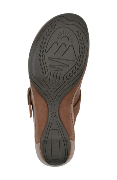 Cliffs By White Mountain Viewed Mule In Hazel Smooth