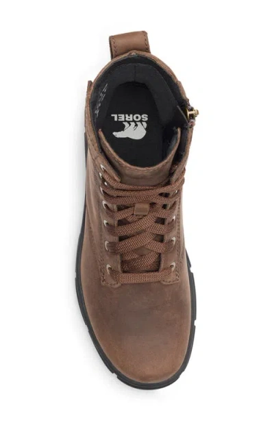 Sorel Explorer Lace-up Boot In Tobacco/ Black