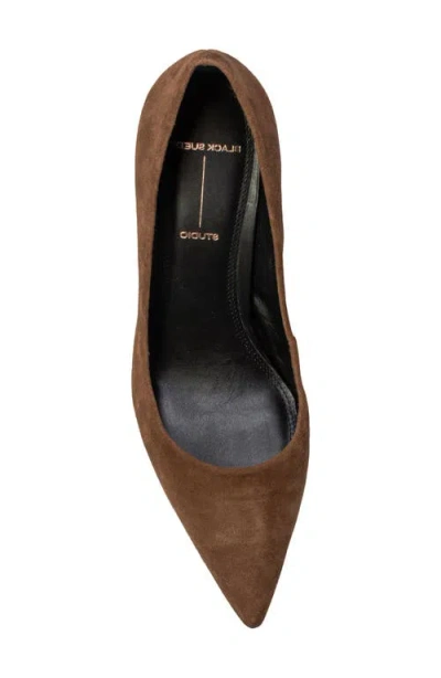 Black Suede Studio Amaya Pointed Toe Pump In Brown