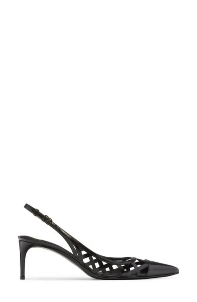 Dolce & Gabbana Pointed-toe Lace-panelled Pumps In Nero