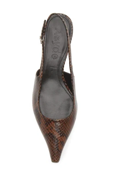 Aeyde Catrina 40 Snake-effect Leather Slingback Pumps In Moka