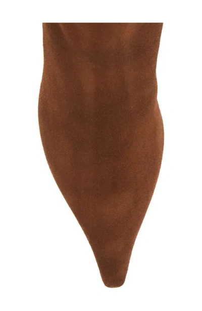 Aeyde Brown Zoe Suede Ankle Boots In Brown