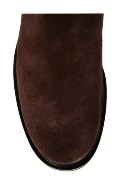 Cordani Brennen Genuine Suede Block Heel Bootie In Camoscio Tmoro