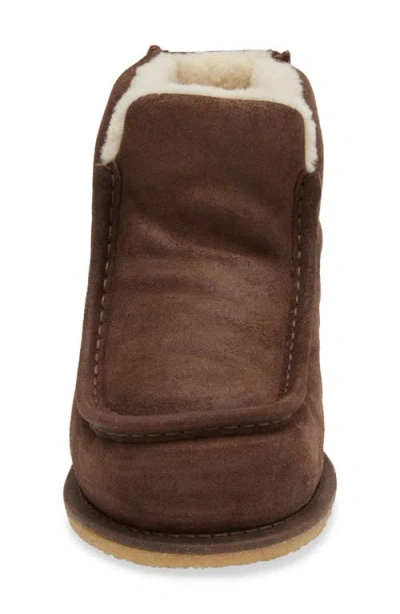 Jw Anderson Genuine Shearling Lined Bootie In 567 Chocolate Mrn Beige