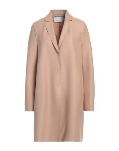 Harris Wharf London Woman Coat Sand Size 10 Virgin Wool In Beige