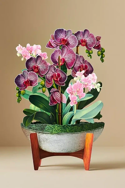 Freshcut Paper Paper Bouquet