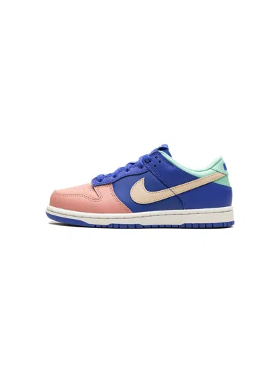 Nike Boys  Dunk Low Se In Blue