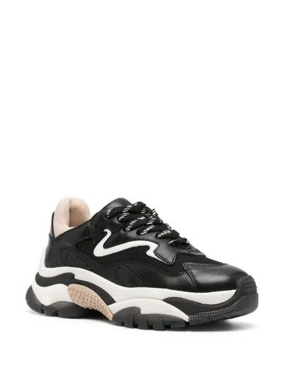 Ash Lace-up Low-cut Sneakers In Black