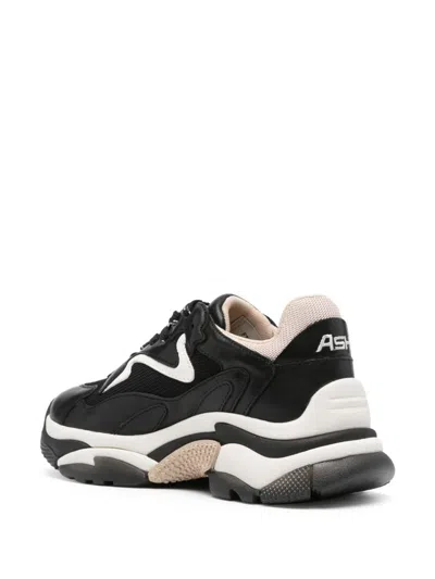 Ash Lace-up Low-cut Sneakers In Black