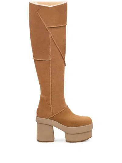 Shop Ugg New Heights Platform Boot In Brown