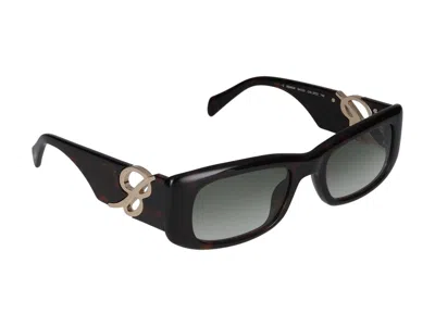 Blumarine Sunglasses In Dark Havana Glossy